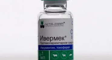 Как да намушкам ивермек на котка и куче